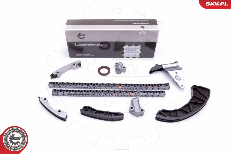 Timing Chain Kit